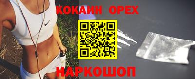 гашик Дубна