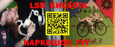 гашик Дубна