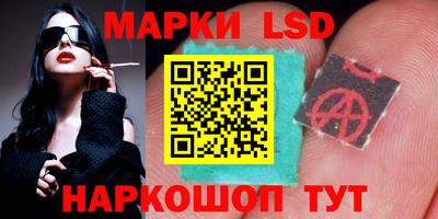 МДПВ Донецк