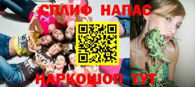 гашик Дубна