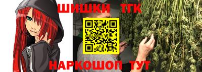 гашик Дубна