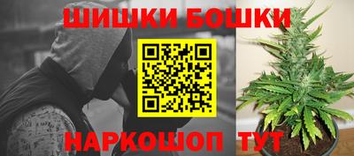 гашик Дубна