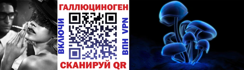 купить наркоту  Новомосковск  Галлюциногенные грибы Cubensis 
