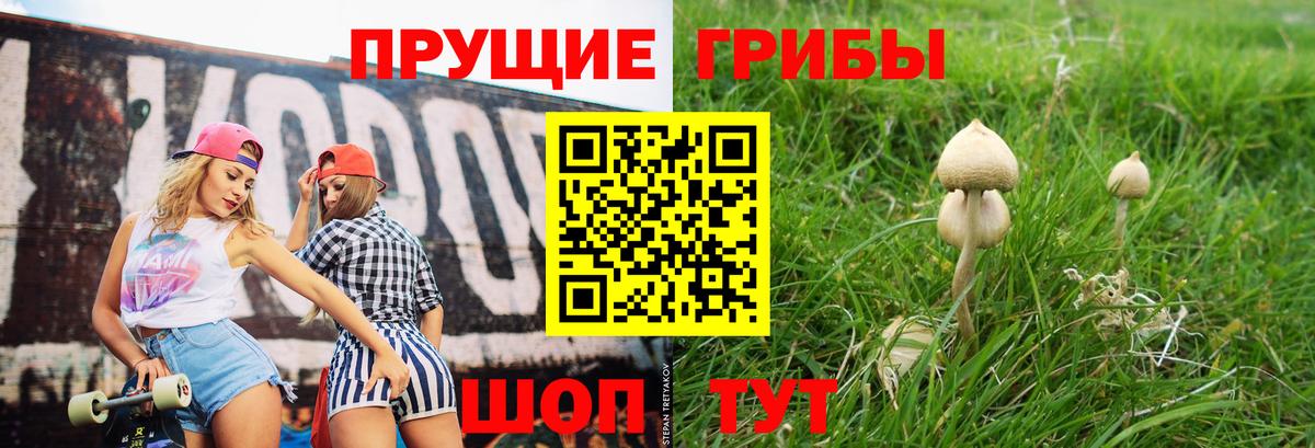 Псилоцибиновые грибы Cubensis  где найти наркотики  Новомосковск  Вход с VPN 