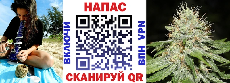 купить наркотики сайты  Новомосковск  Бошки Шишки ГИДРОПОН 